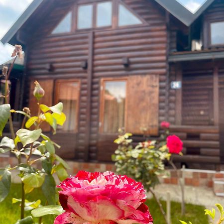 Sky High Kolasin Ngoại thất bức ảnh