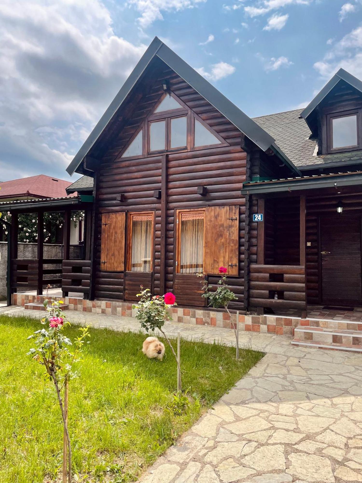 Sky High Kolasin Ngoại thất bức ảnh